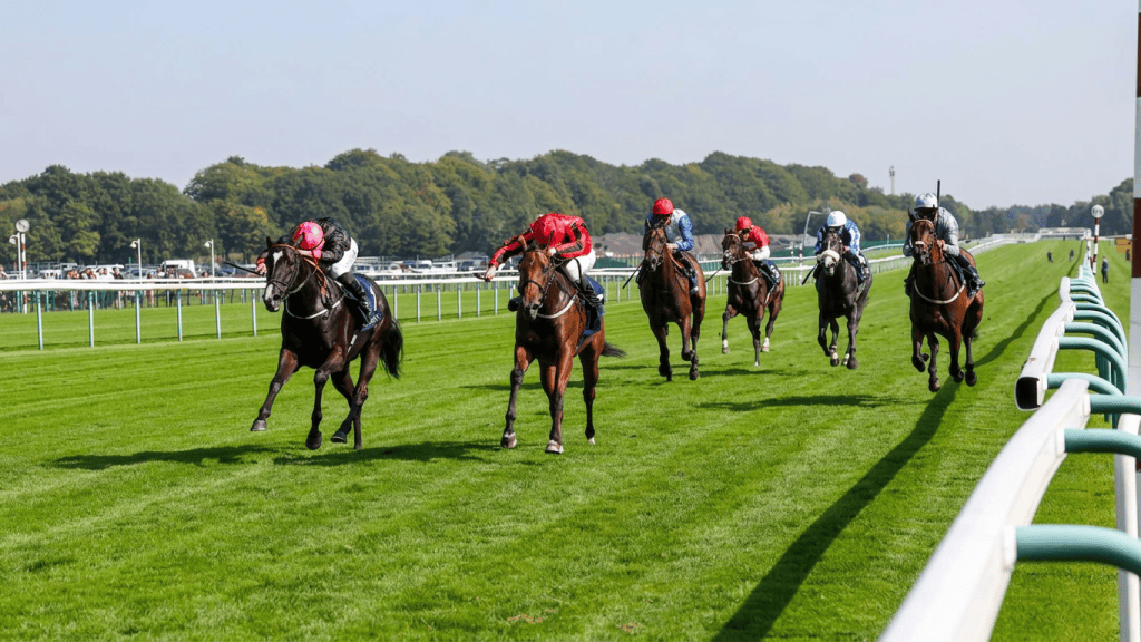 Thoroughbred race approaching finish rail